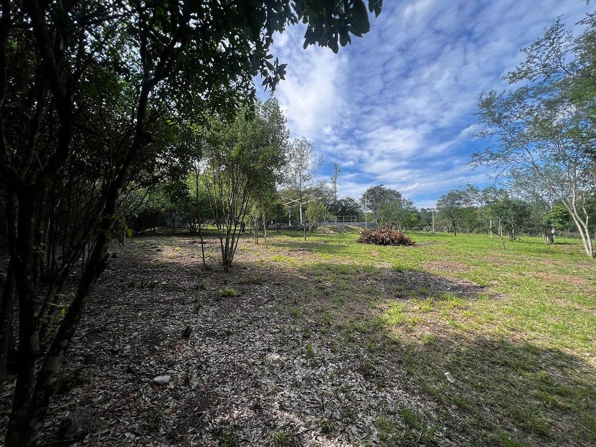 Terreno en Las Adjuntas, Montemorelos, foto 6 de 9