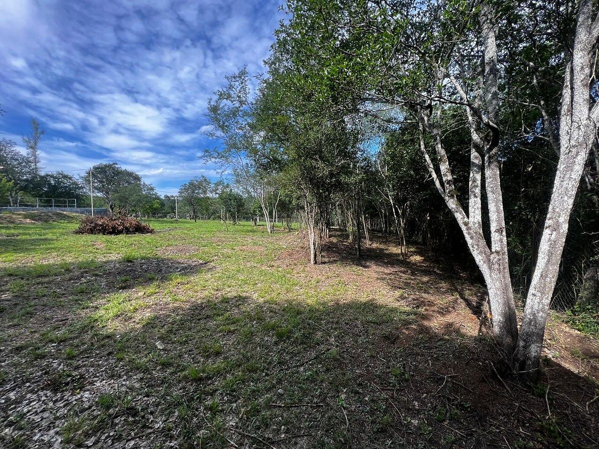 Terreno en Las Adjuntas, Montemorelos, foto 7 de 9