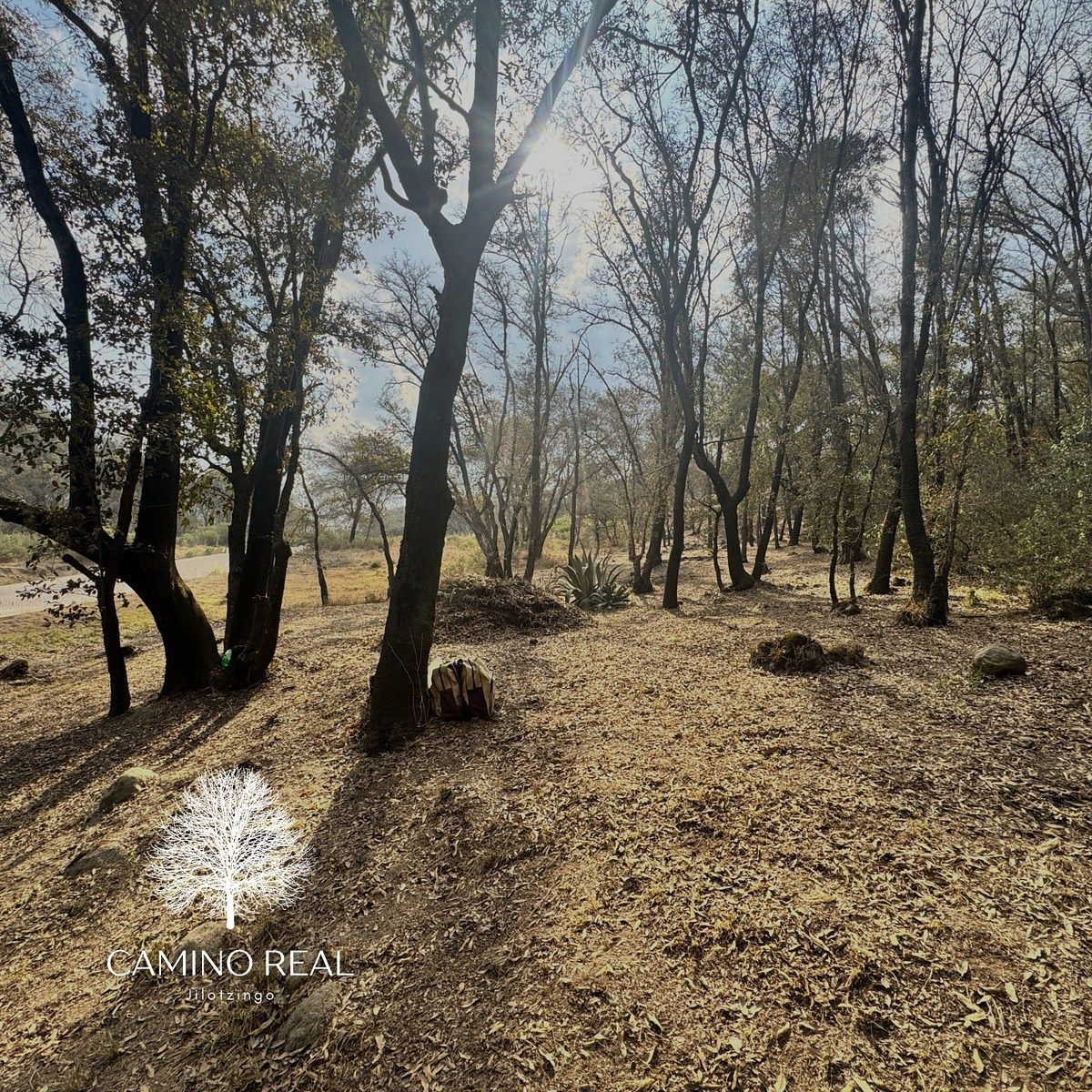 Terreno en Santa Ana Jilotzingo, Jilotzingo, foto 2 de 15