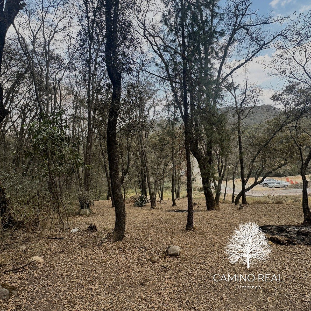 Terreno en Santa Ana Jilotzingo, Jilotzingo, foto 3 de 15