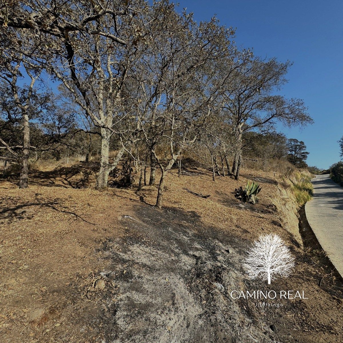 Terreno en Santa Ana Jilotzingo, Jilotzingo, foto 6 de 15