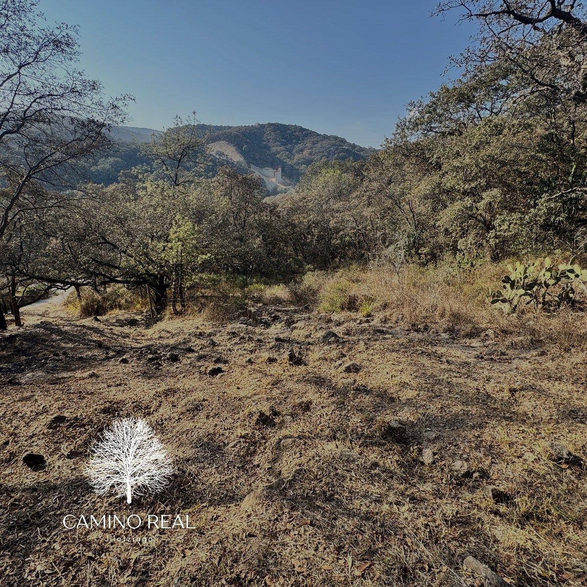 Terreno en Santa Ana Jilotzingo, Jilotzingo, foto 9 de 15