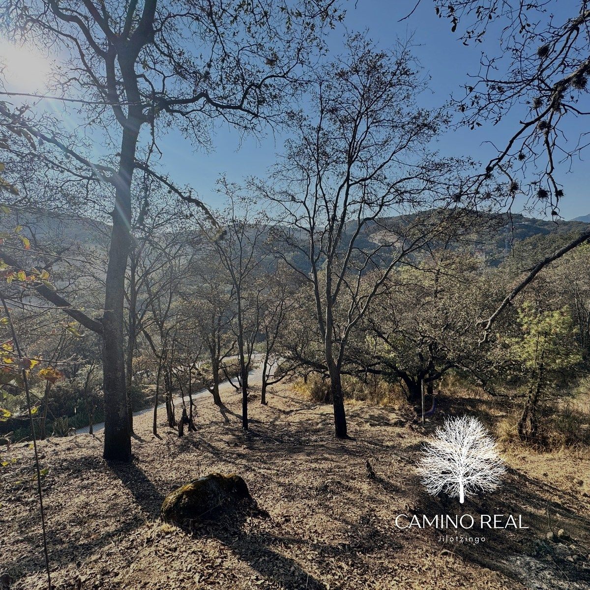 Terreno en Santa Ana Jilotzingo, Jilotzingo, foto 12 de 15