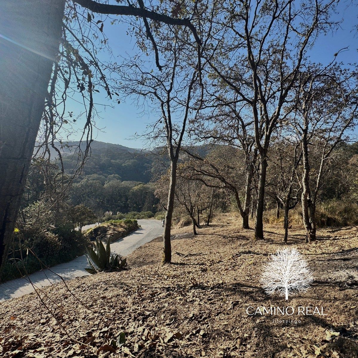 Terreno en Santa Ana Jilotzingo, Jilotzingo, foto 14 de 15