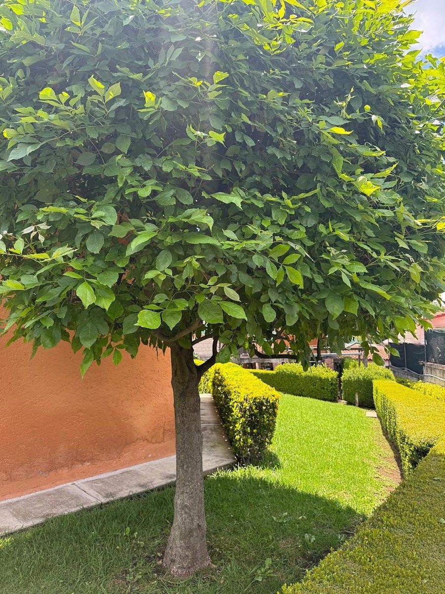 Casa em Club de Golf Chiluca, Atizapán de Zaragoza, foto 27 de 38