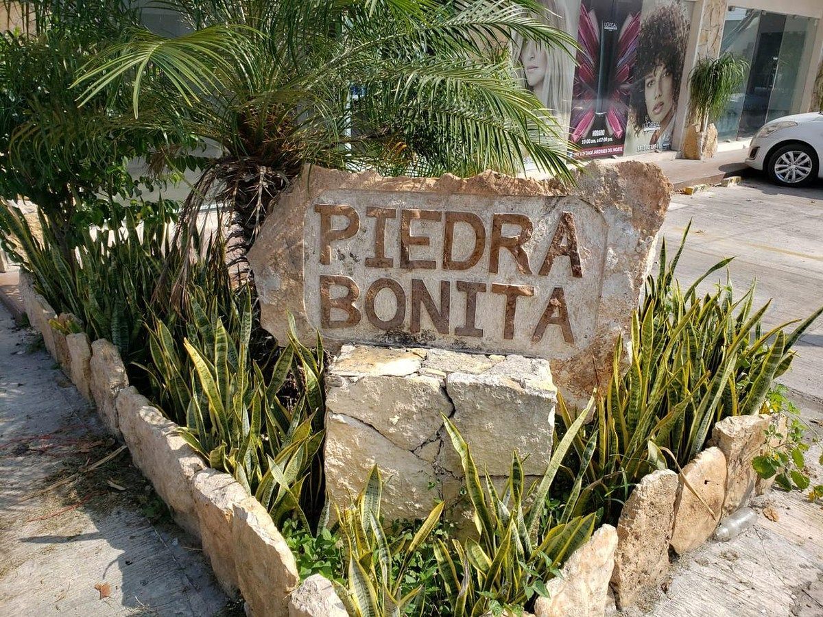 COMMERCIAL LOCAL FOR RENT LOCATED IN JARDINES DEL NORTE, AV. YUCATÁN, photo 1 of 5