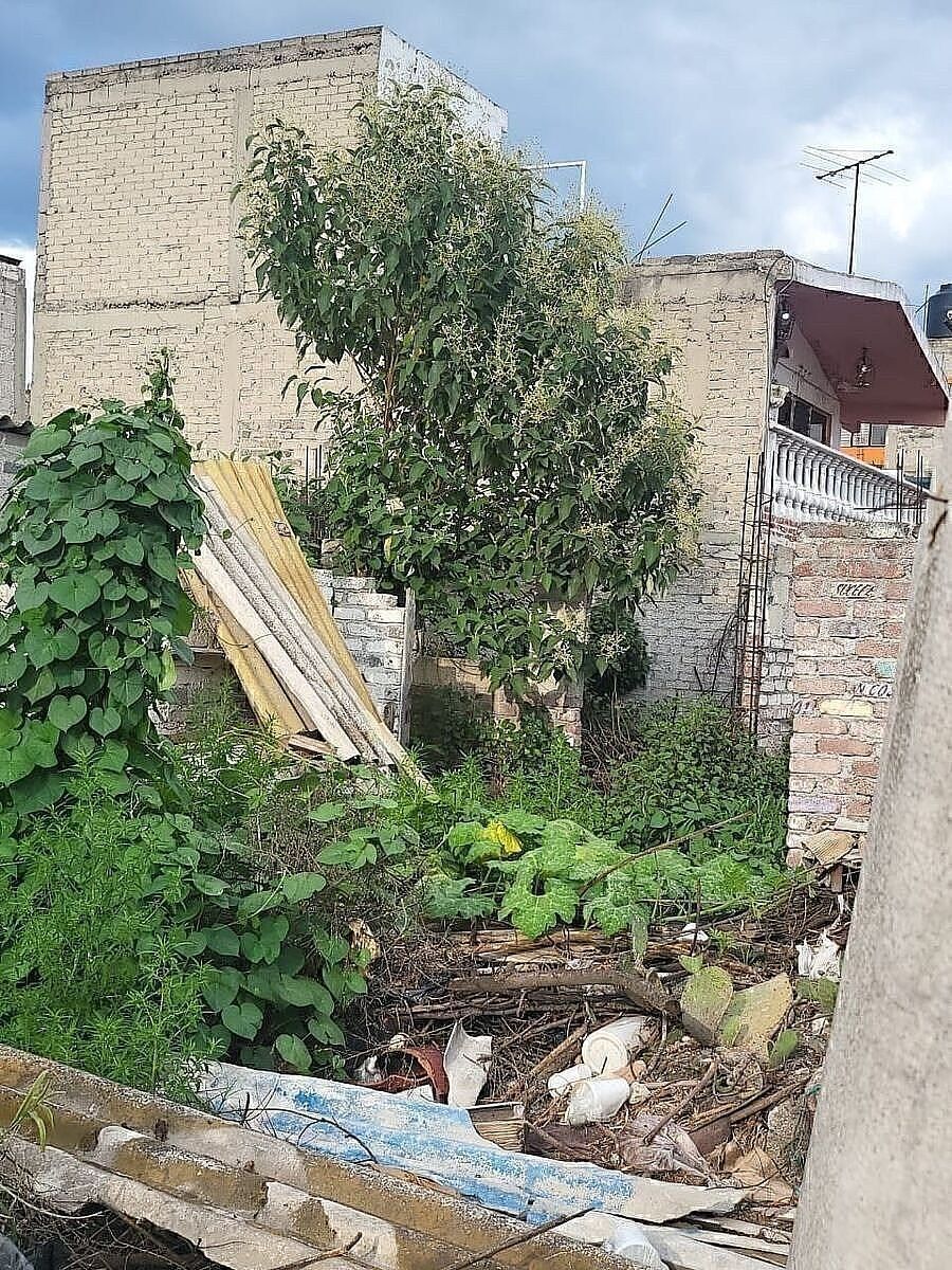 Terreno en Jardines de Morelos 5a Sección, Ecatepec de Morelos, foto 6 de 6