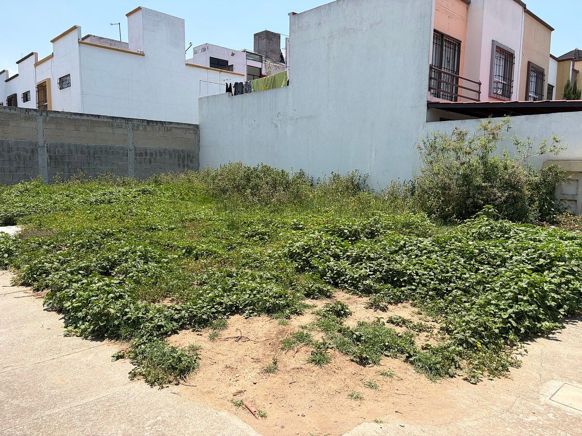 Terreno en San Mateo Otzacatipan, Toluca, foto 2 de 6