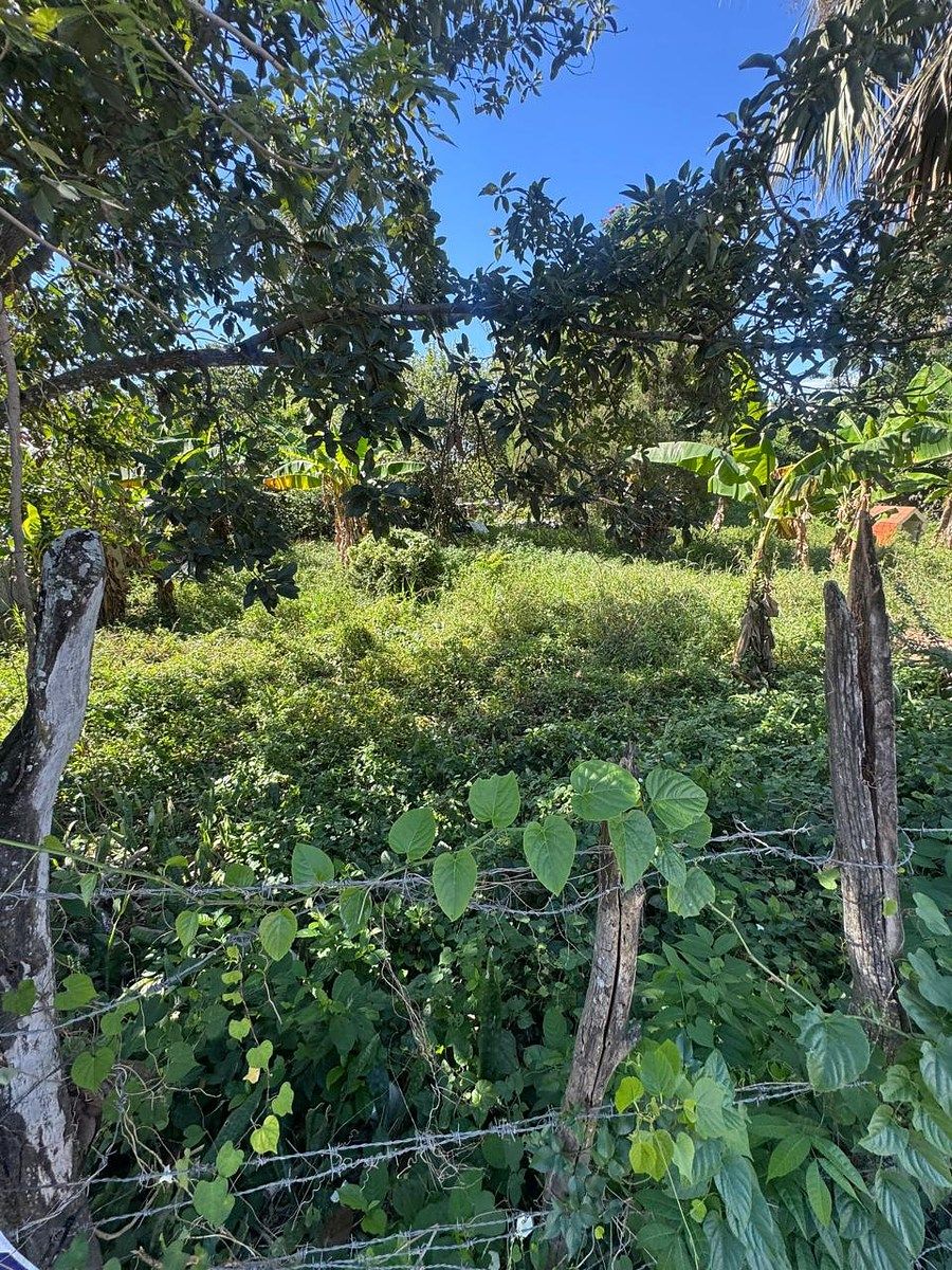 Terreno en Tamboril, foto 2 de 3