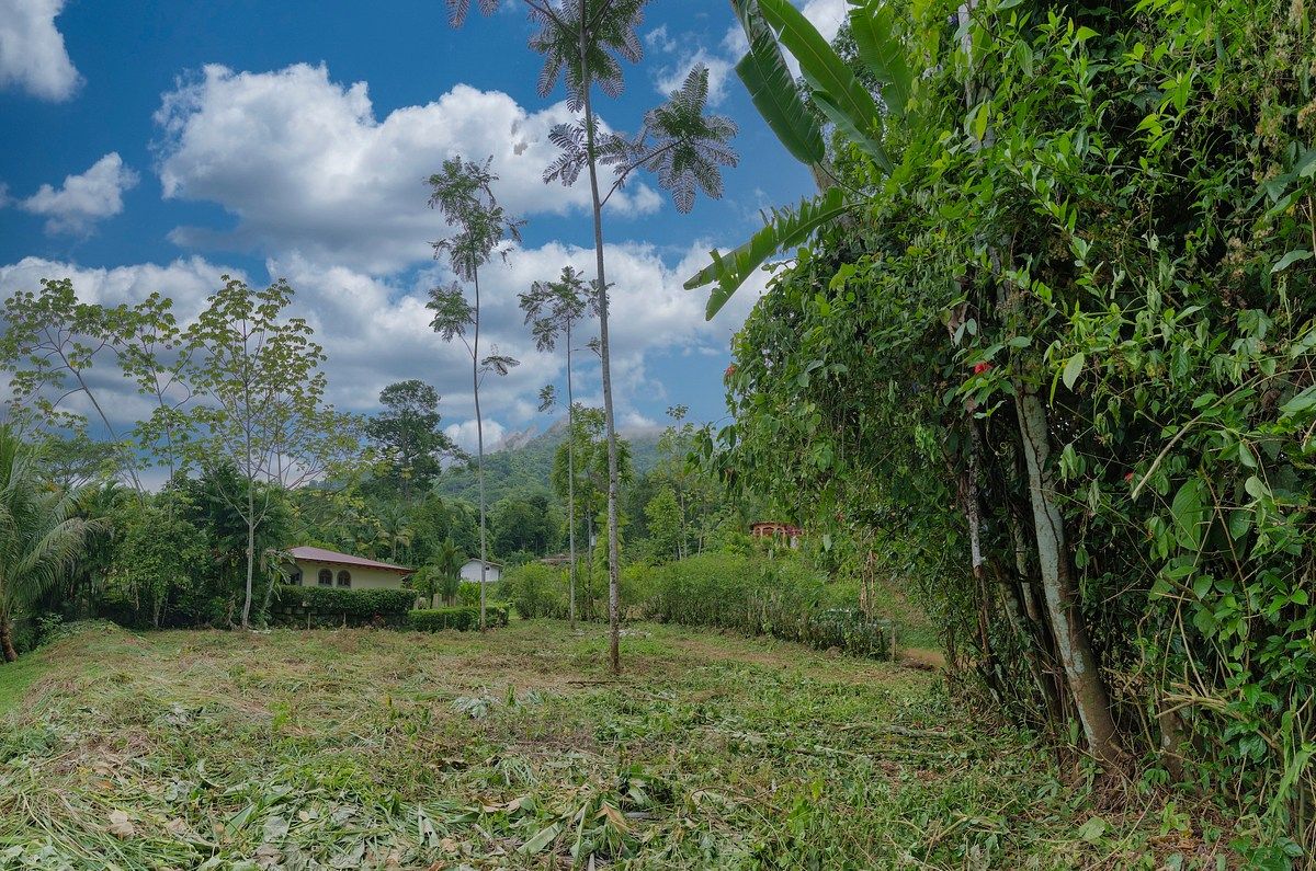 Land in Península de Osa, photo 9 of 14