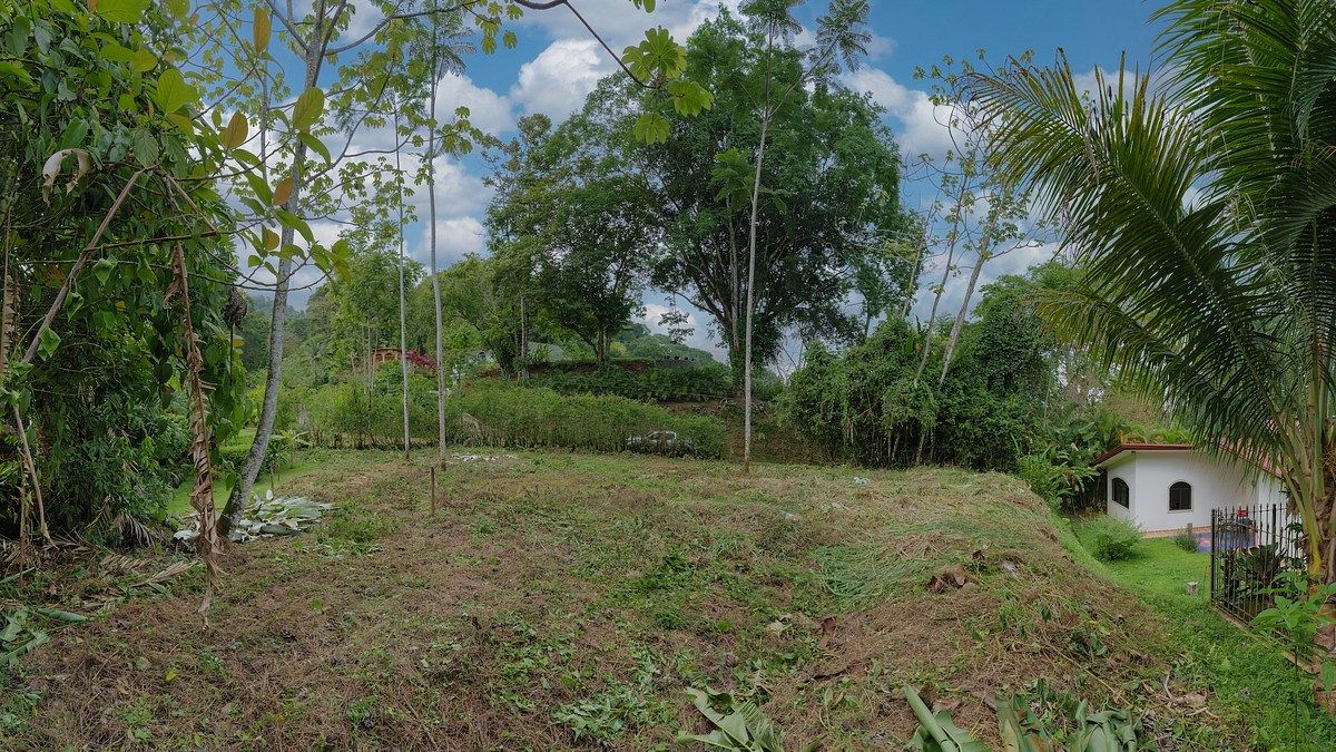 Land in Península de Osa, photo 10 of 14