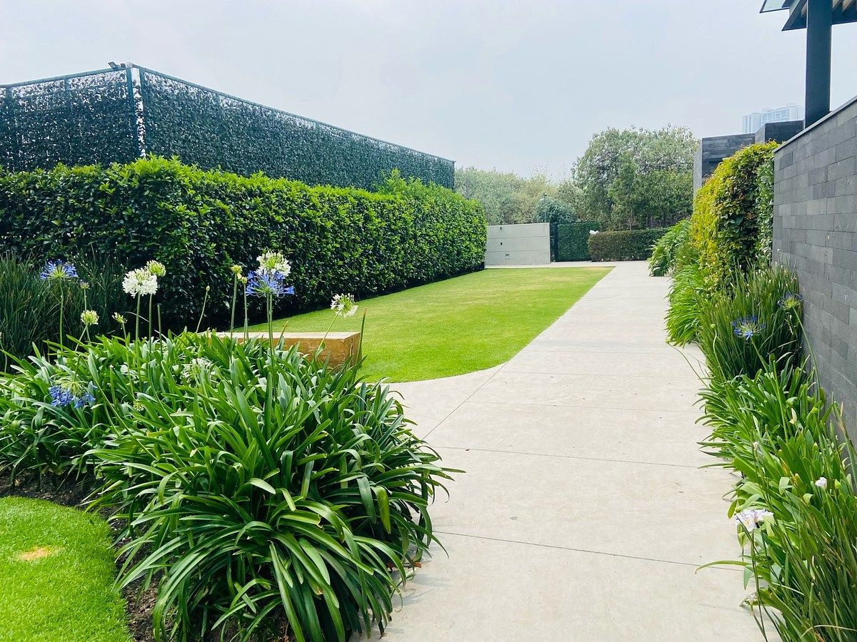 Apartamento em San Mateo Tlaltenango, Cuajimalpa de Morelos, foto 7 de 33