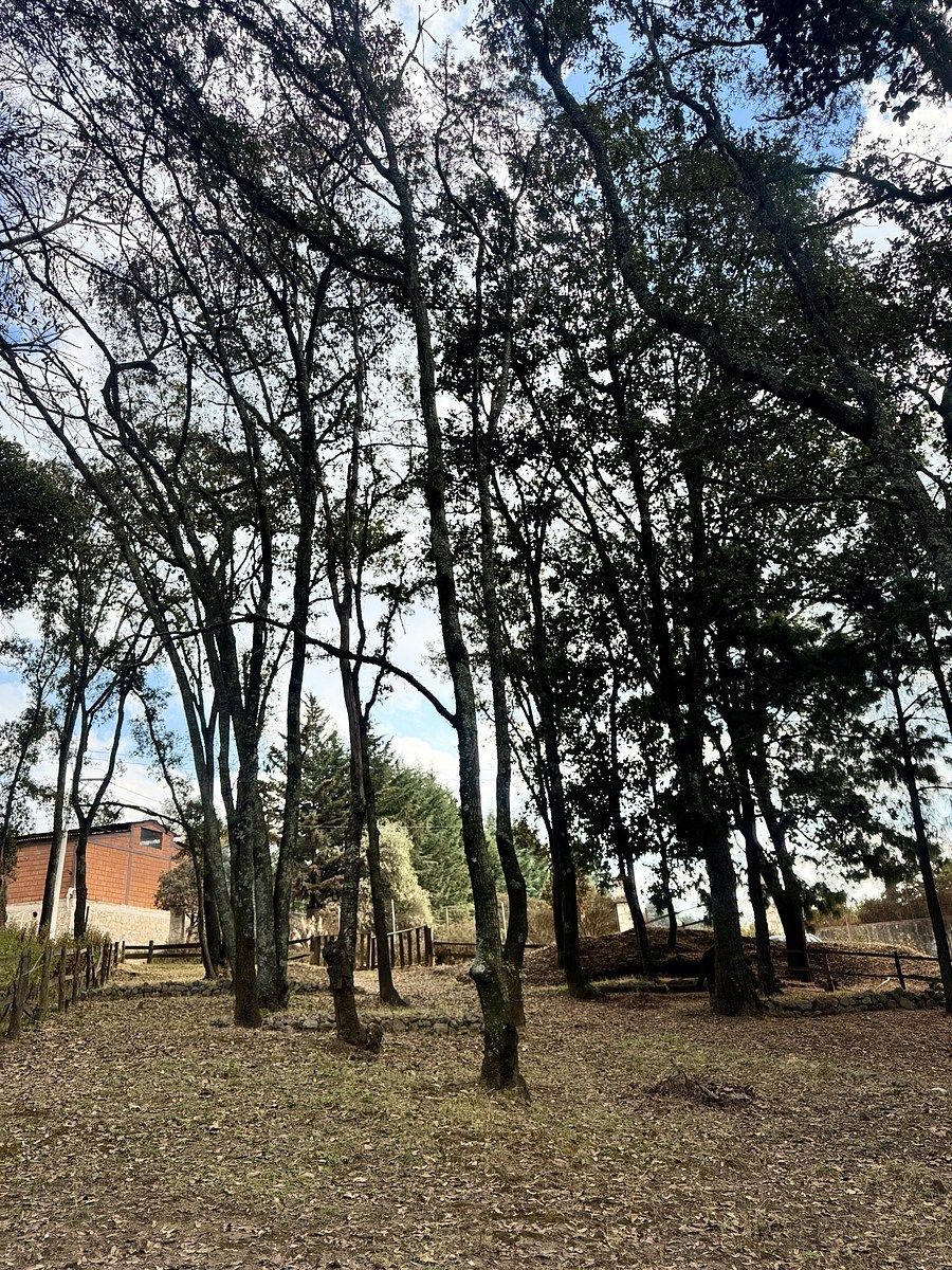 Terreno comercial en Santa María Mazatla, Jilotzingo, foto 2 de 6