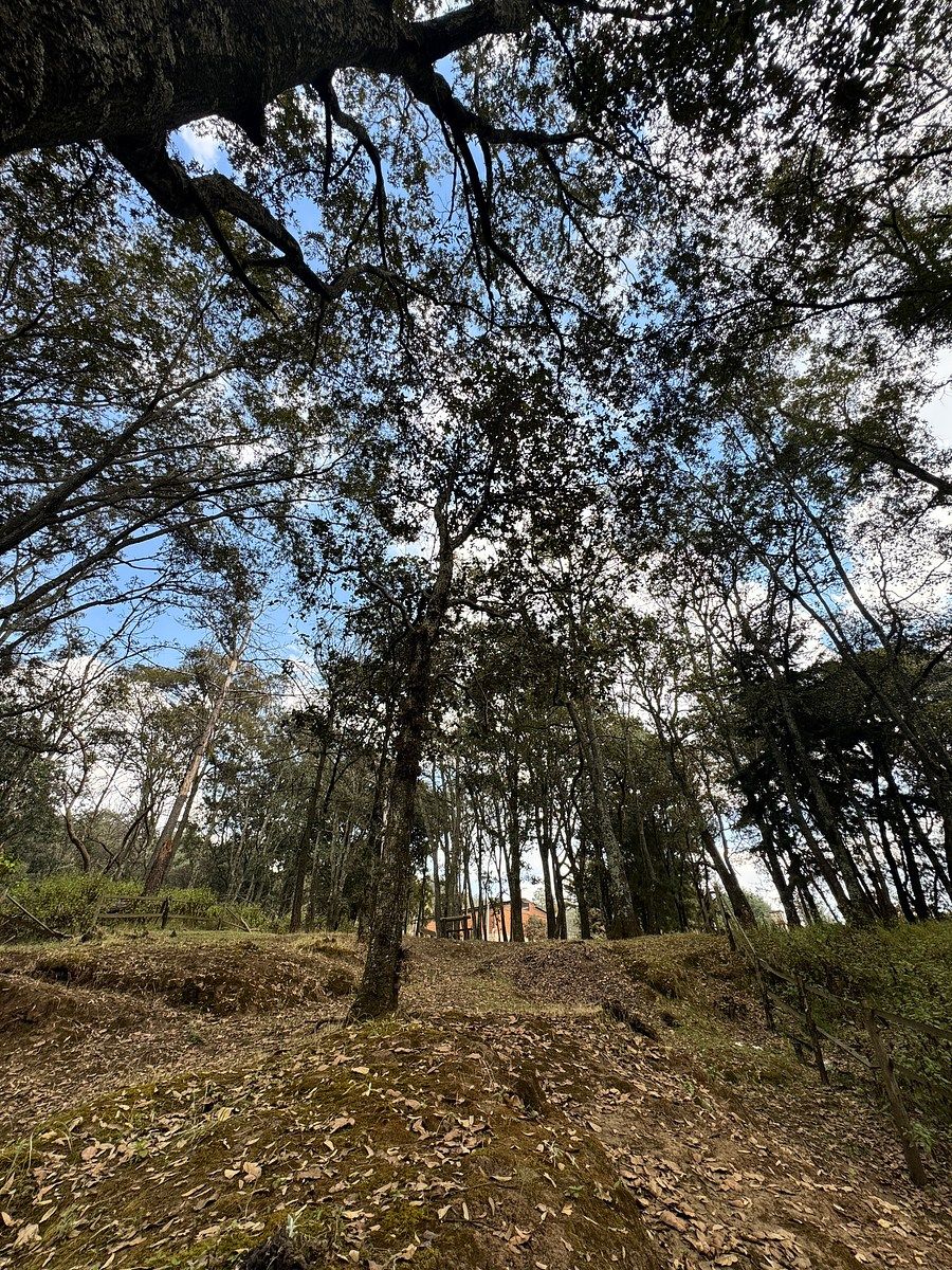 Terreno comercial en Santa María Mazatla, Jilotzingo, foto 3 de 6