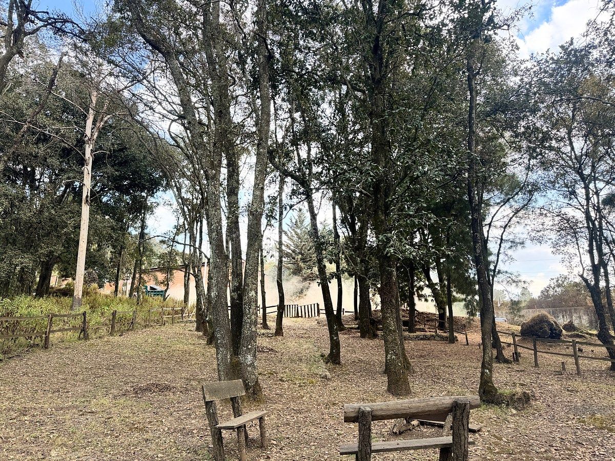 Terreno comercial en Santa María Mazatla, Jilotzingo, foto 4 de 6