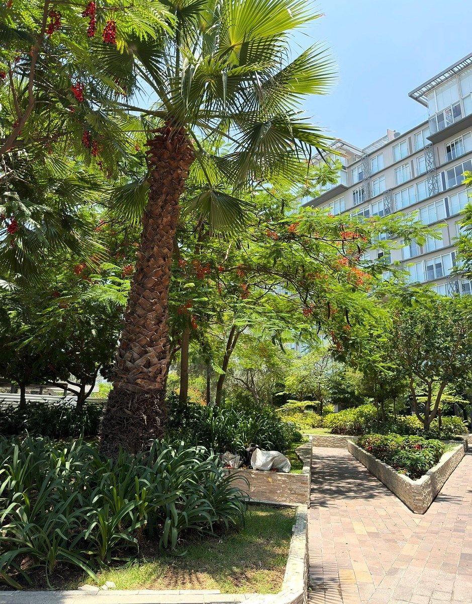 Apartamento em Lomas Altas, Zapopan, foto 2 de 13