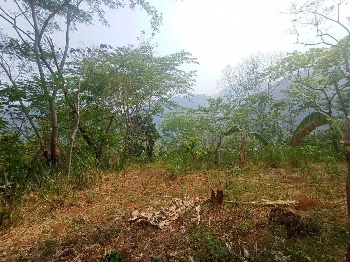 Terreno en Florida, Teapa, foto 3 de 9