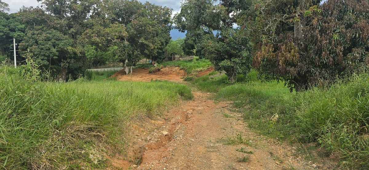 Terreno en Estancita, Jarabacoa, foto 4 de 5