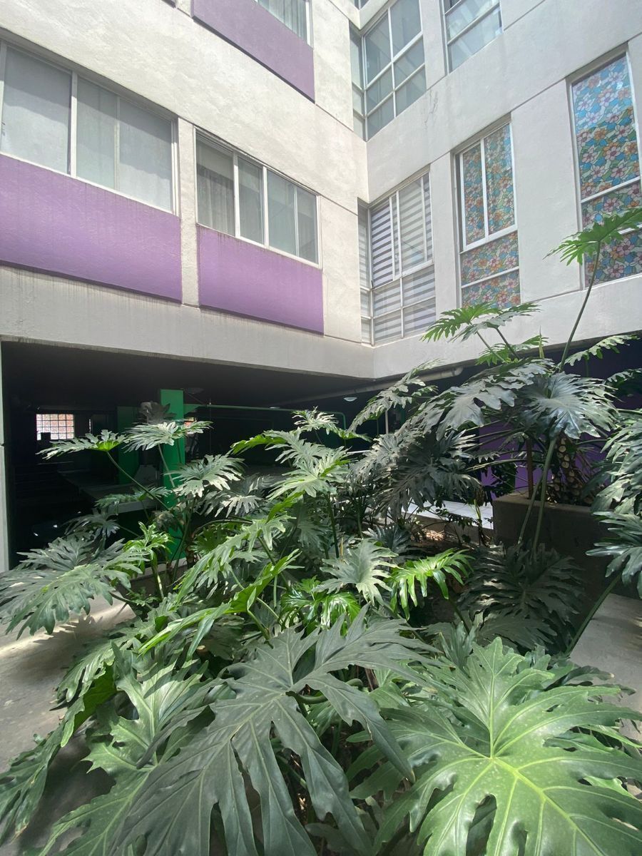 Departamento en Renta en San Bartolo El Chico Rayo Vende ®, foto 2 de 8