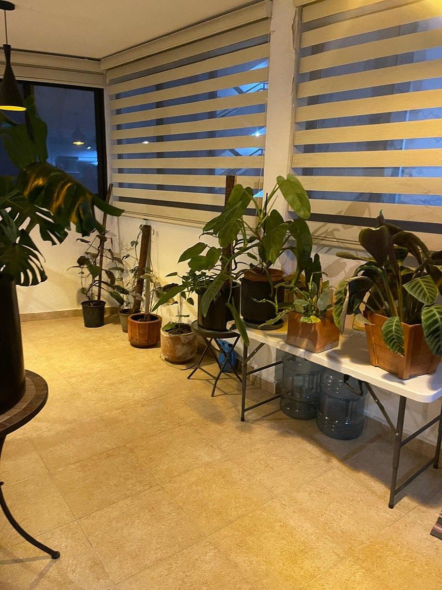 Departamento en Colina del Sur, Álvaro Obregón, foto 9 de 18