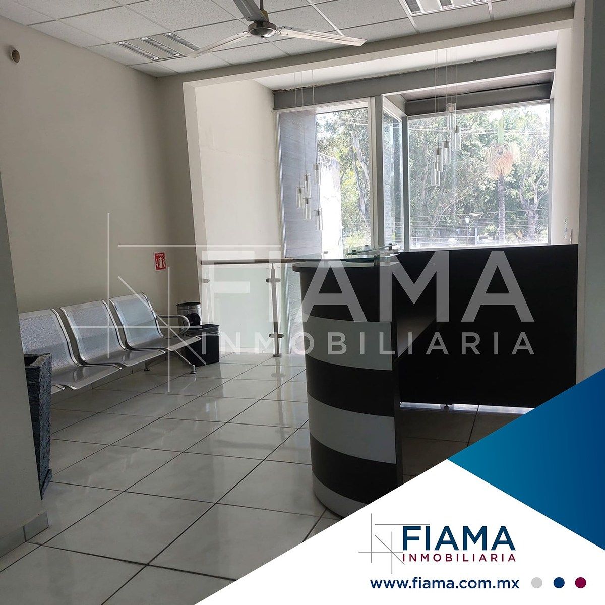 Oficina en Tepic Centro, Tepic, foto 12 de 17