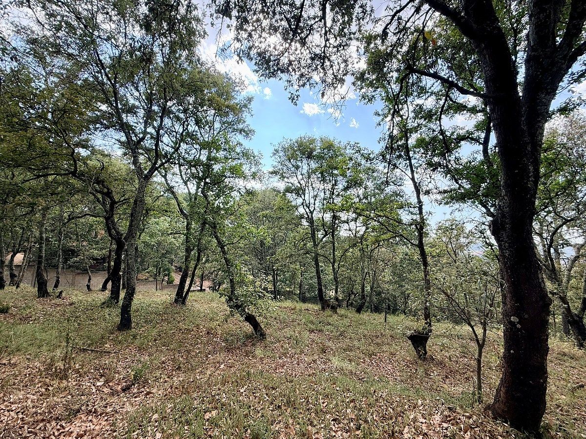 Terreno en Mazamitla, Mazamitla, foto 9 de 17
