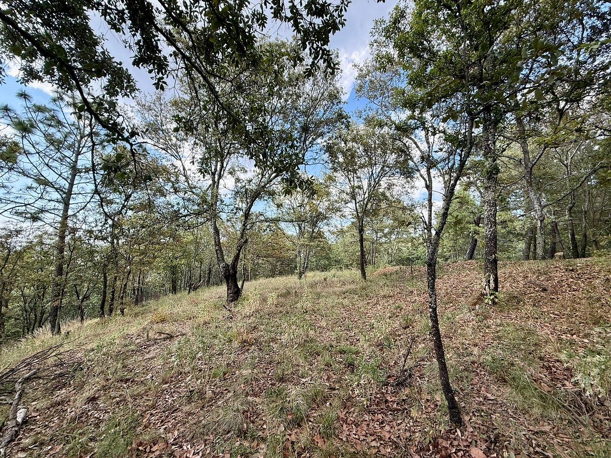 Terreno en Mazamitla, Mazamitla, foto 12 de 17