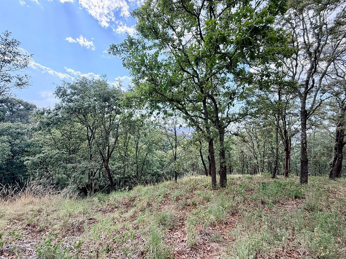 Terreno en Mazamitla, Mazamitla, foto 14 de 17