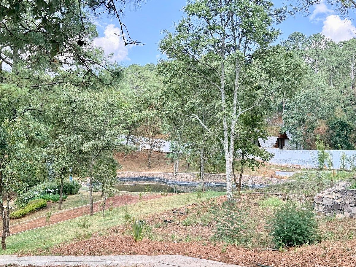 Terreno en Mazamitla, Mazamitla, foto 7 de 17