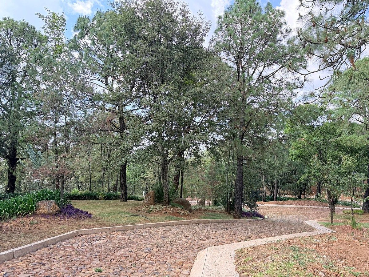 Terreno en Mazamitla, Mazamitla, foto 15 de 17