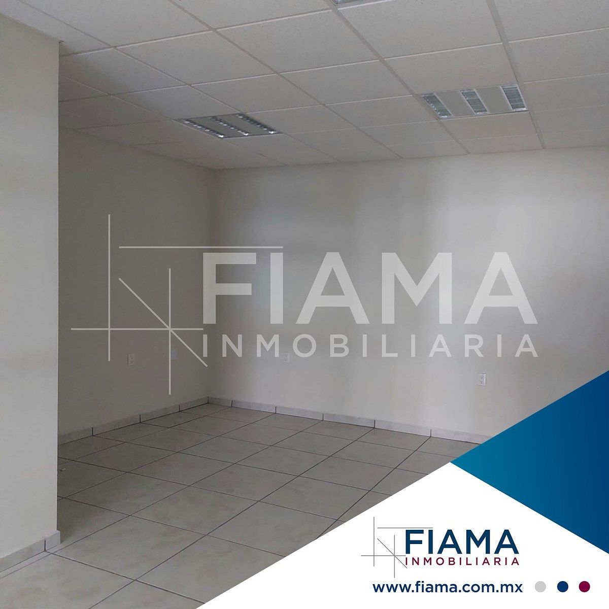 Oficina en Tepic Centro, Tepic, foto 4 de 16