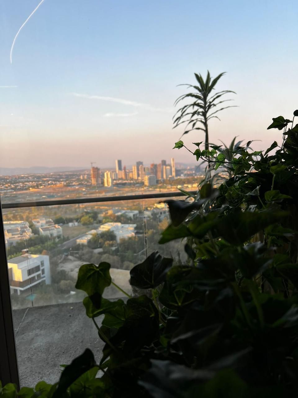 Apartment in Virreyes Residencial, Zapopan, photo 22 of 48