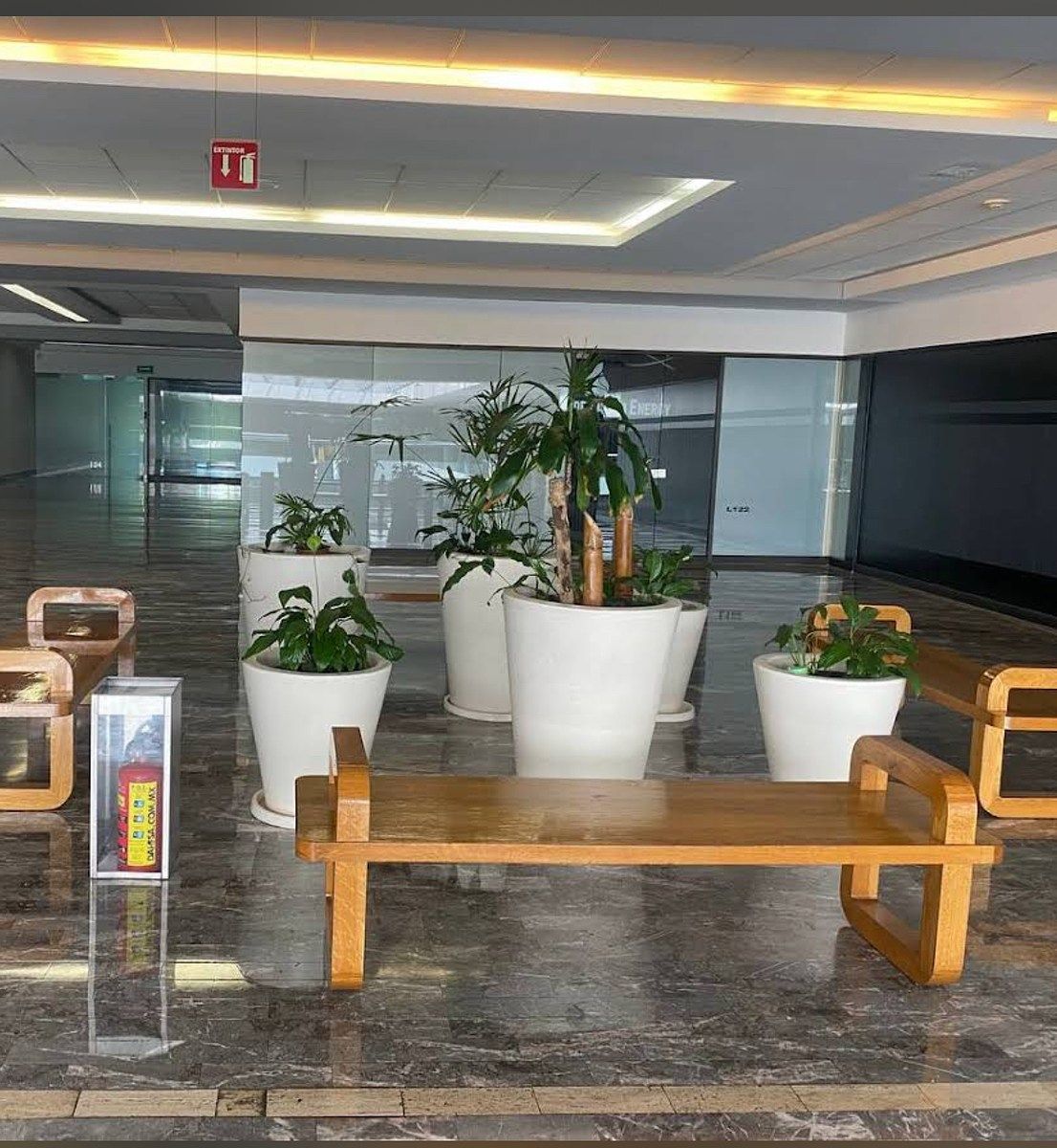 Office in Polanco I Sección, Miguel Hidalgo, photo 3 of 3
