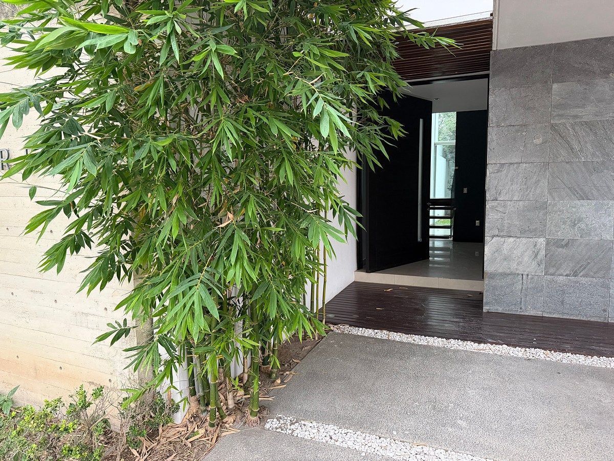 Casa em condomínio fechado em Jardines Universidad, Zapopan, foto 3 de 46