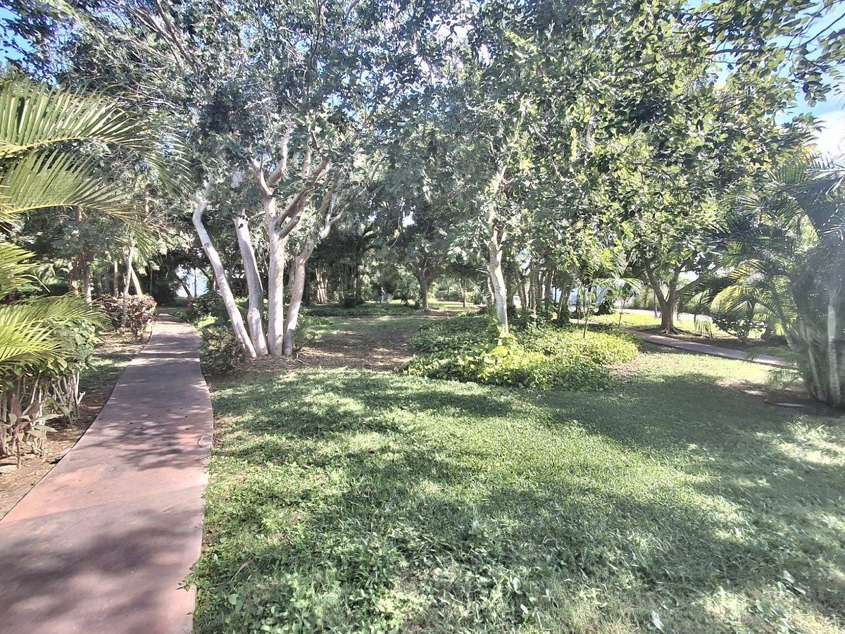 Lot in Altozano, Mérida, photo 7 of 10