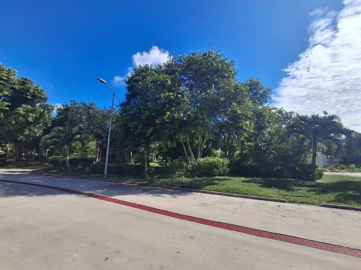 Lot in Altozano, Mérida, photo 8 of 10