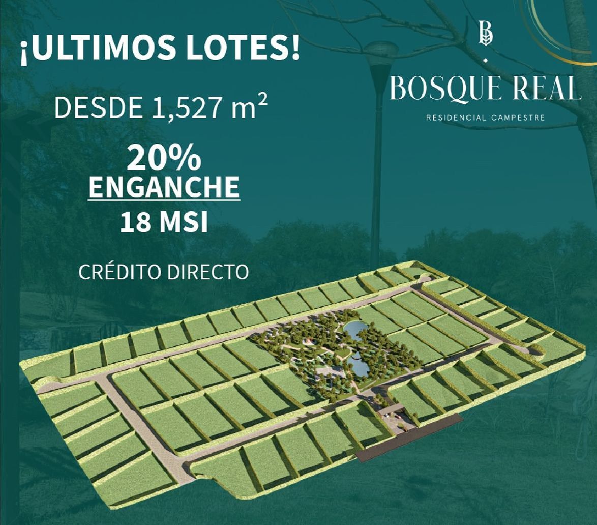 Terreno en Ciudad Allende, Allende, foto 4 de 5