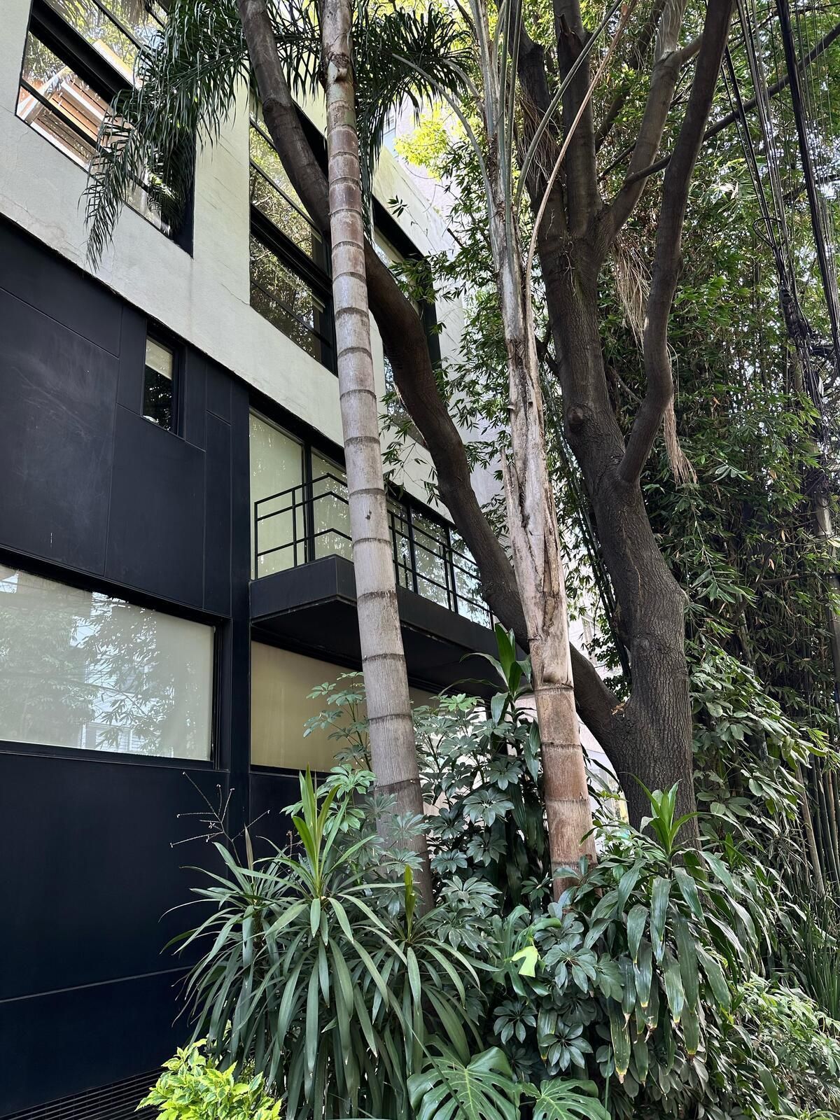 Apartamento em Polanco IV Sección, Miguel Hidalgo, foto 15 de 15