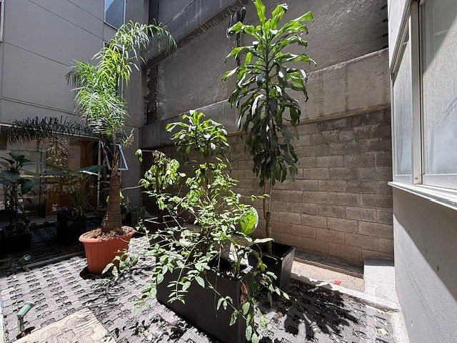 Apartment in Cuauhtémoc, Cuauhtémoc, photo 23 of 23