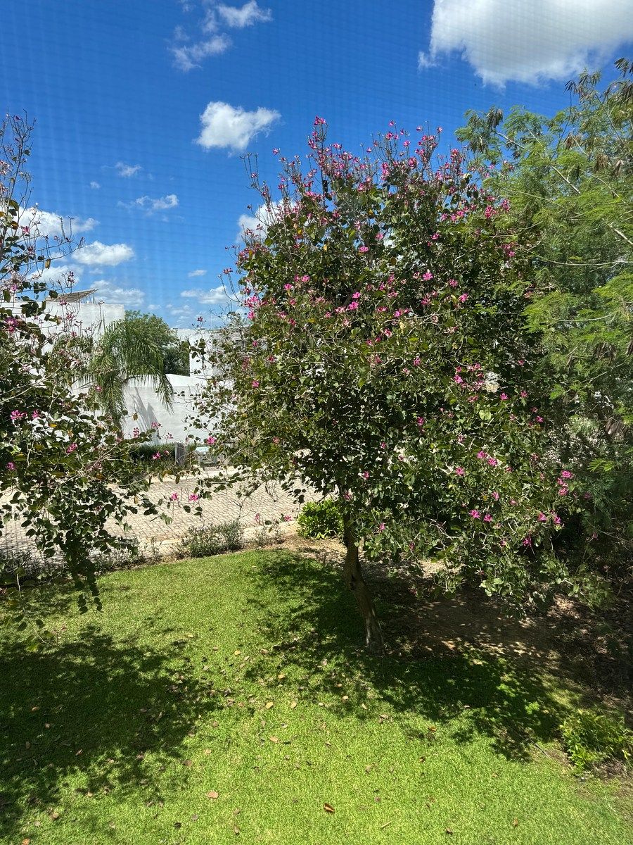 Área verde en colindancia en uno de los costados de la casa, foto 36 de 36