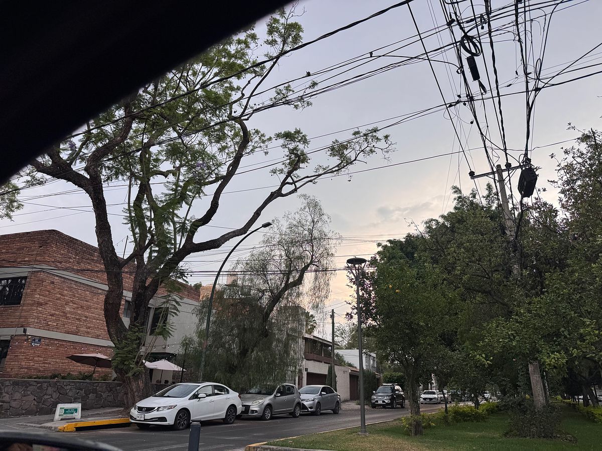 Colonia, photo 18 of 18