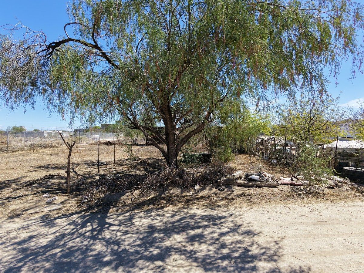 Lot in Chametla, La Paz, photo 5 of 5