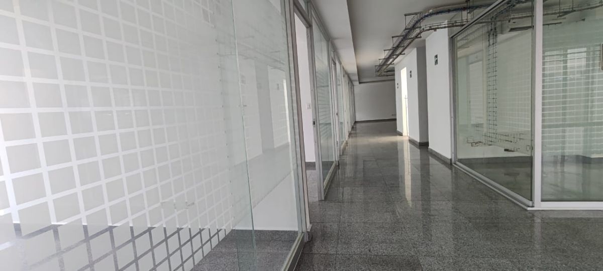 Oficina en San José Insurgentes, Benito Juárez, foto 7 de 23