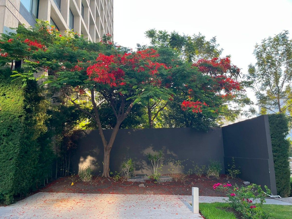 Apartamento em Juriquilla Santa Fe, Querétaro, foto 19 de 28