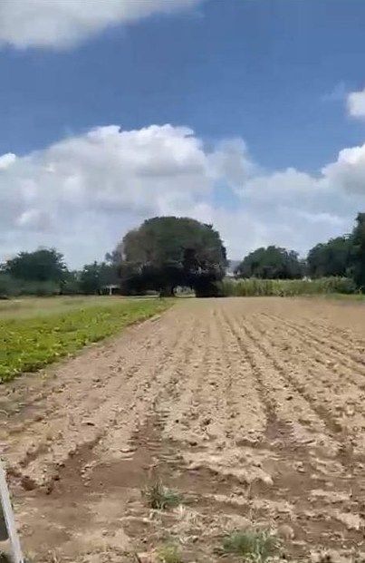 Lote em Alamedas de Zalatitán, Tonalá, foto 2 de 5