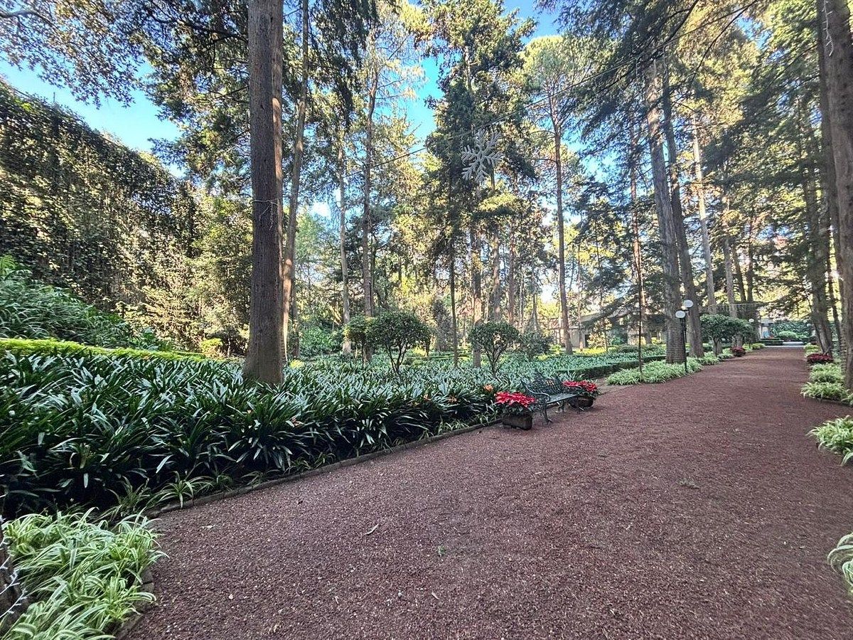 Departamento en Condominios del Bosque, Tlalpan, foto 3 de 12