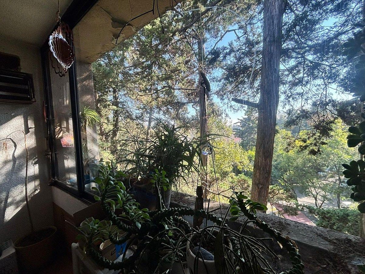 Departamento en Condominios del Bosque, Tlalpan, foto 2 de 12