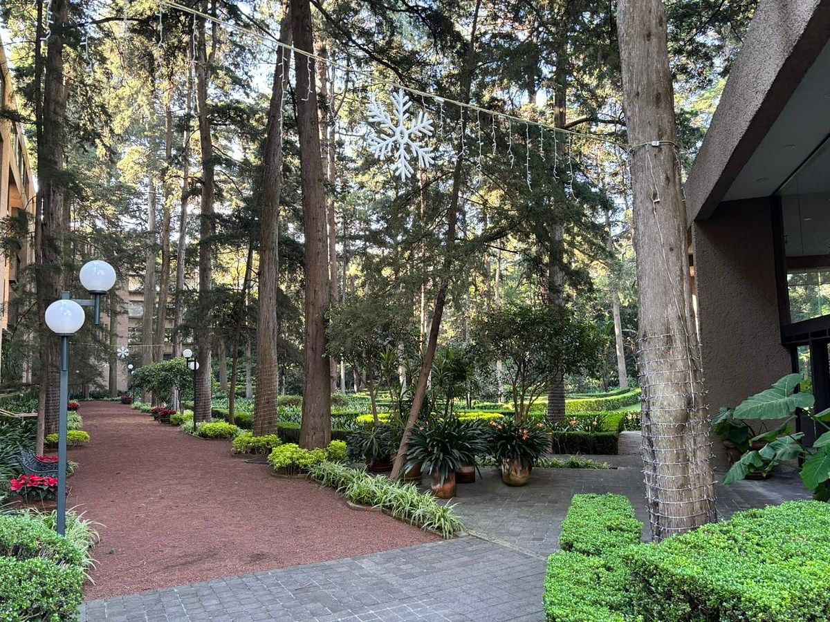 Departamento en Condominios del Bosque, Tlalpan, foto 4 de 12