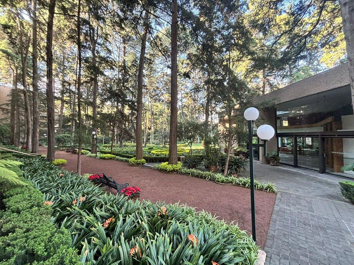 Departamento en Condominios del Bosque, Tlalpan, foto 5 de 12