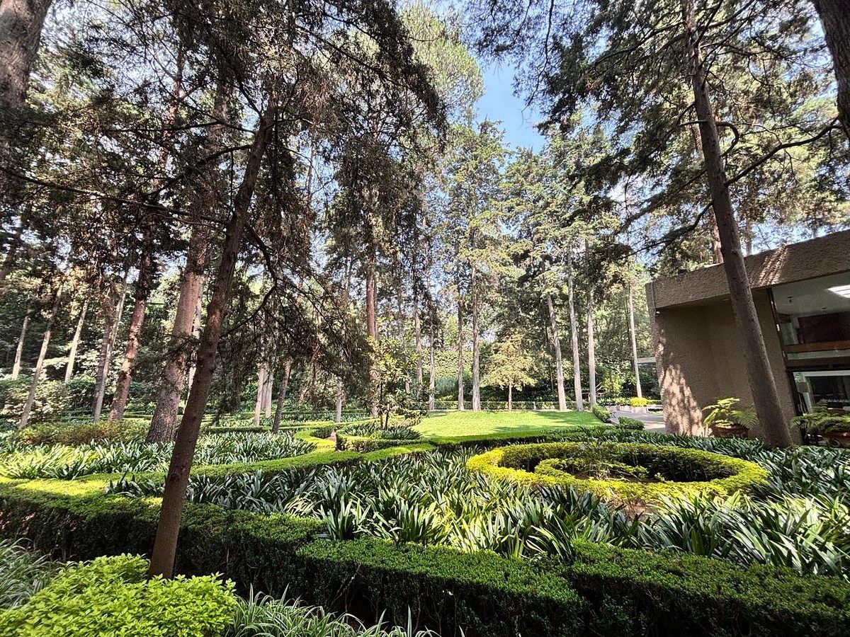 Departamento en Condominios del Bosque, Tlalpan, foto 7 de 27